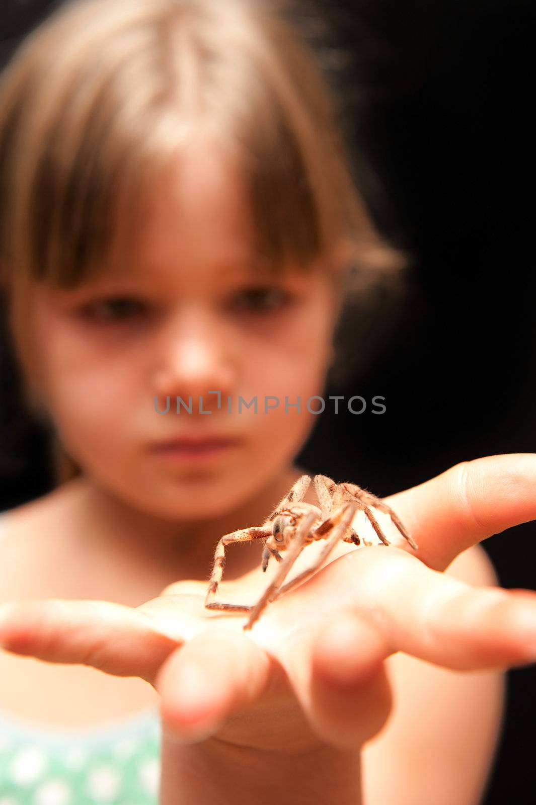 a pretty young girl wearing green polka dot dress holding a brown spider by the one leg and looking surprised