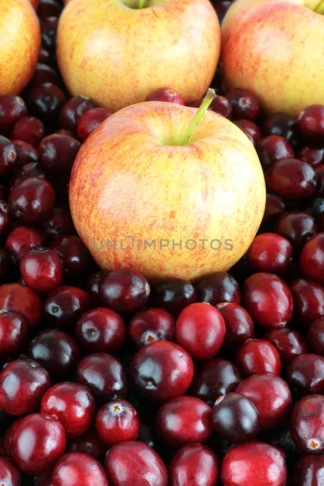 Background of delicious fresh apples and cranberries.