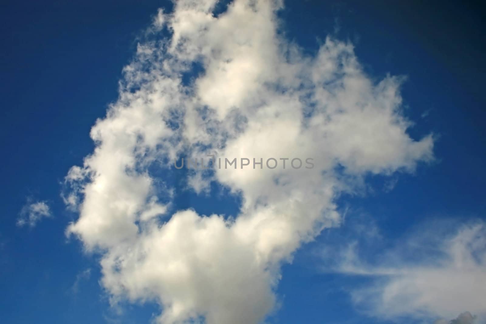 A fluffy cloud in the blue sky