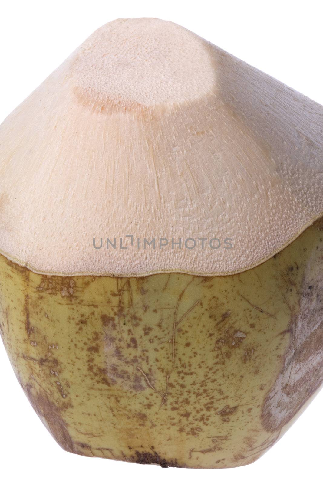 Isolated image of a fresh coconut.