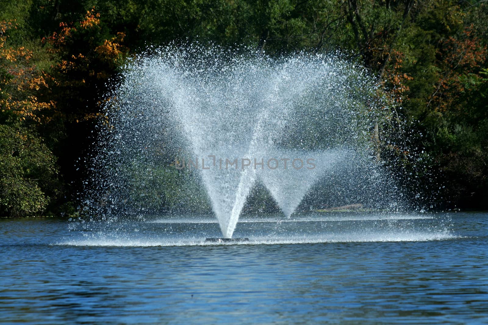 Two Fountains on a pond