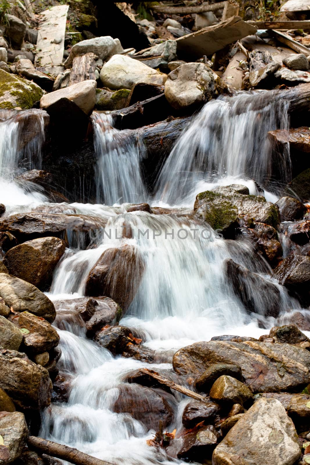 A small waterfall surrounded by stones and logs
