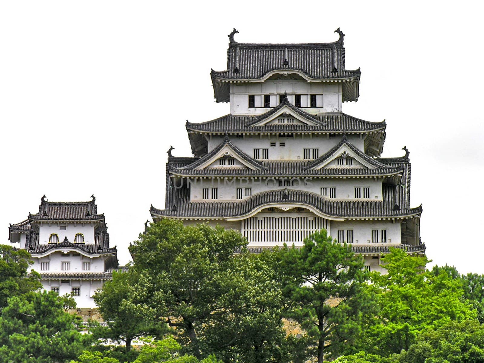 Matsumoto Castle In Japan by rigamondis