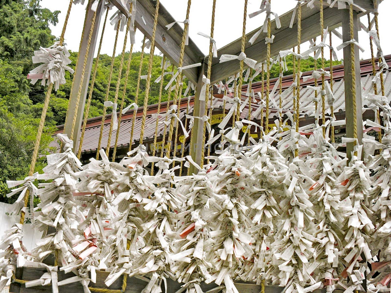 Prayers tied around string at a shinto temple in tokyo japan