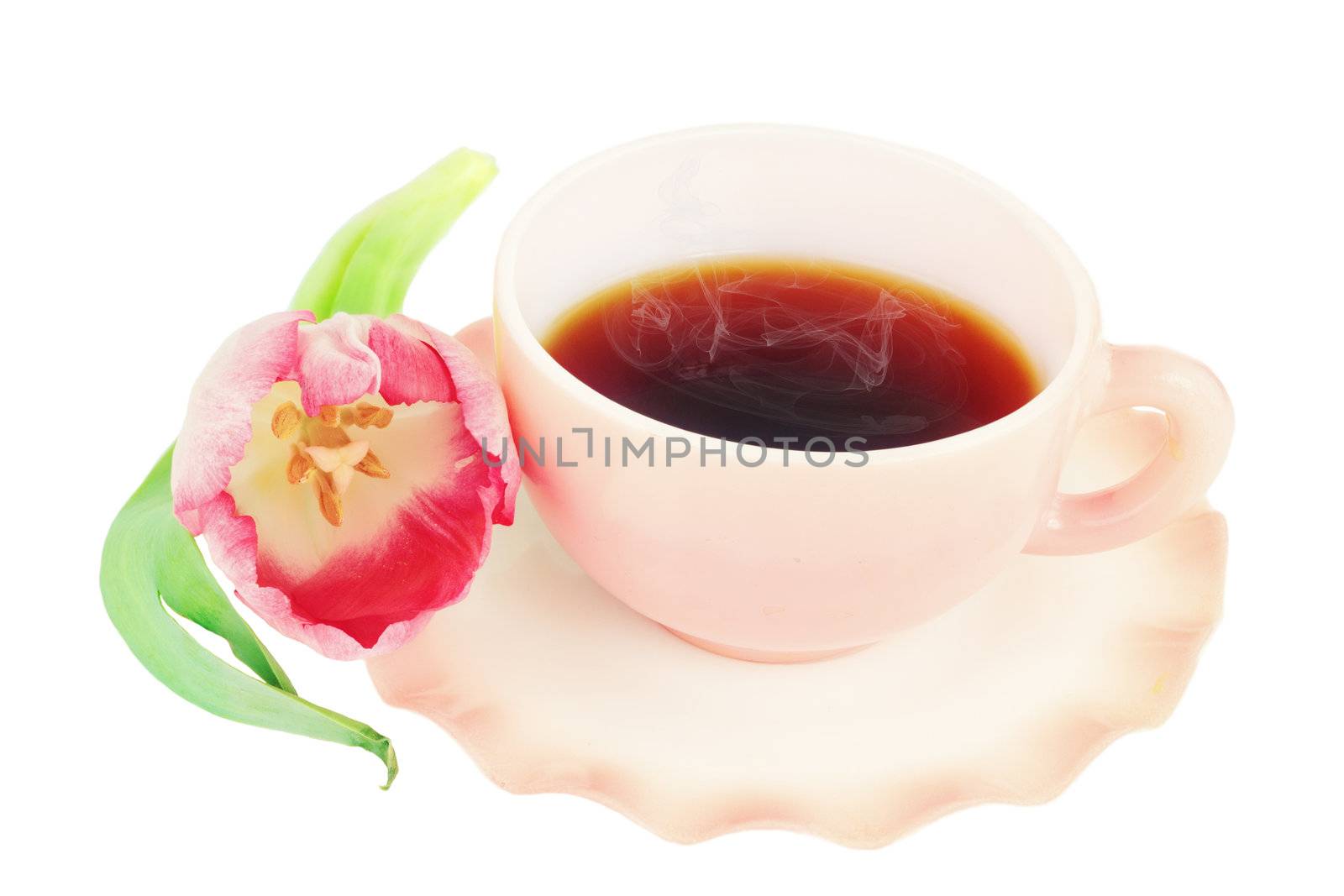 Steaming coffee and flower isolated on a white background.