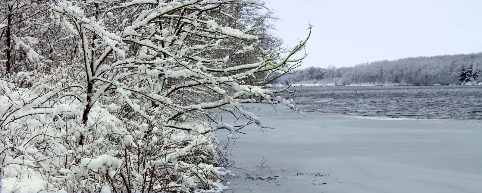 Freshly fallen snow on Pierce Lake at Rock Cut State Park - Illinois.