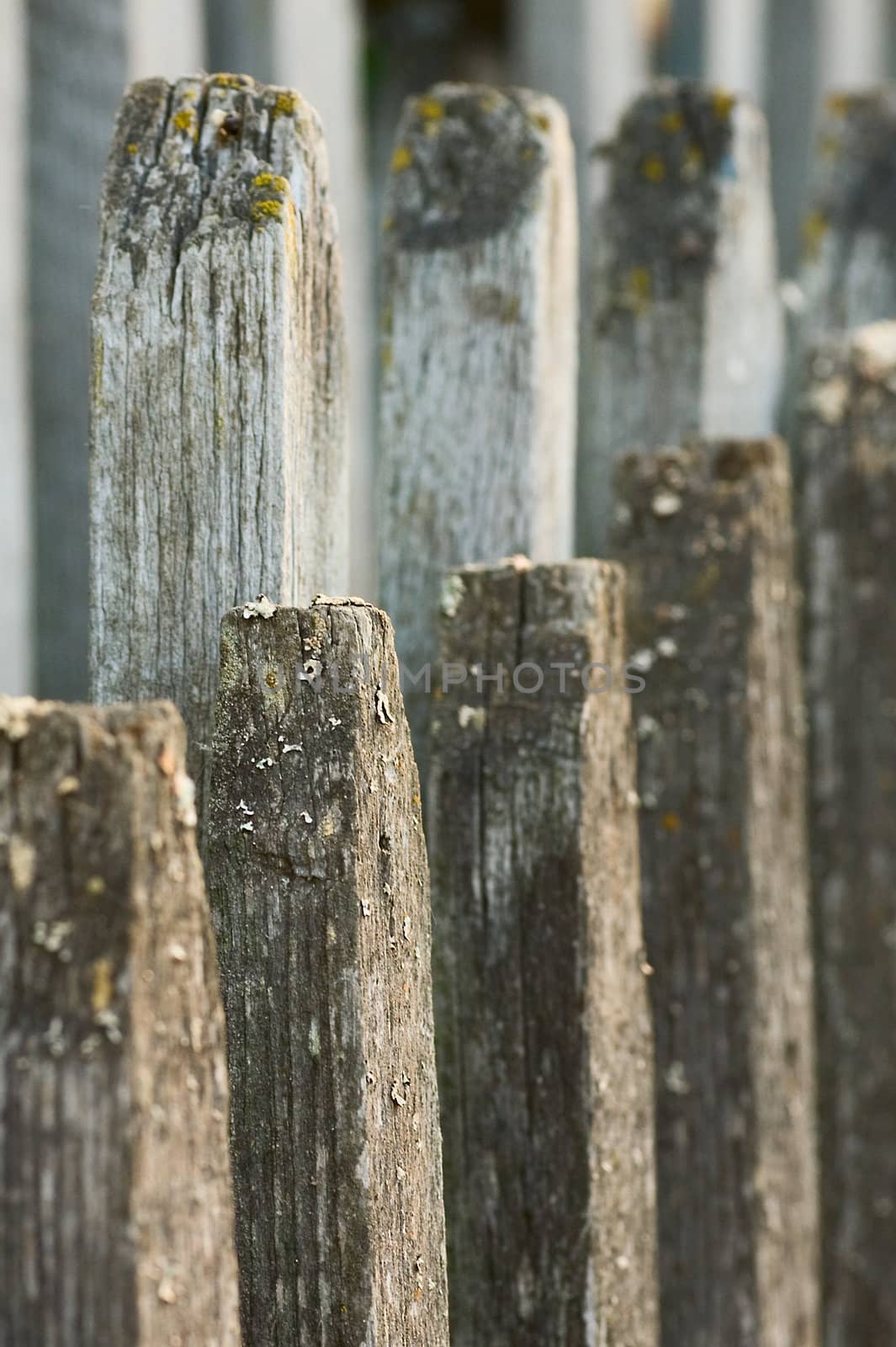 Old worn out wooden fence by foryouinf