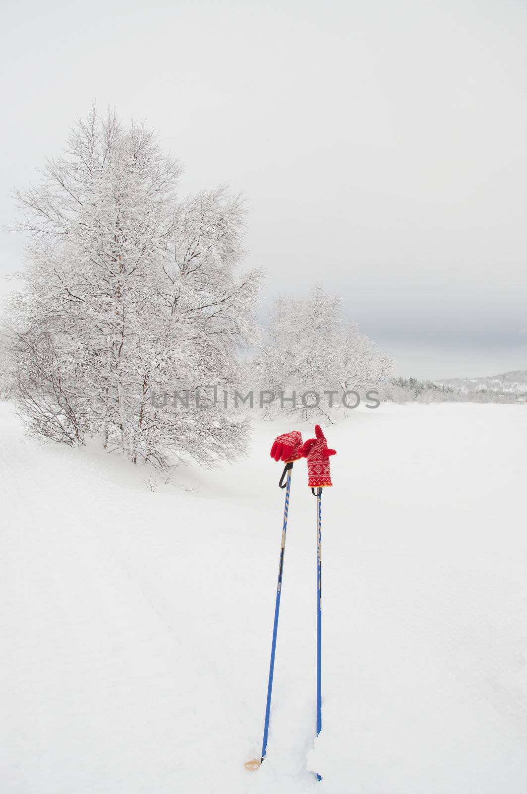 Poles and red gloves in winterwonderland