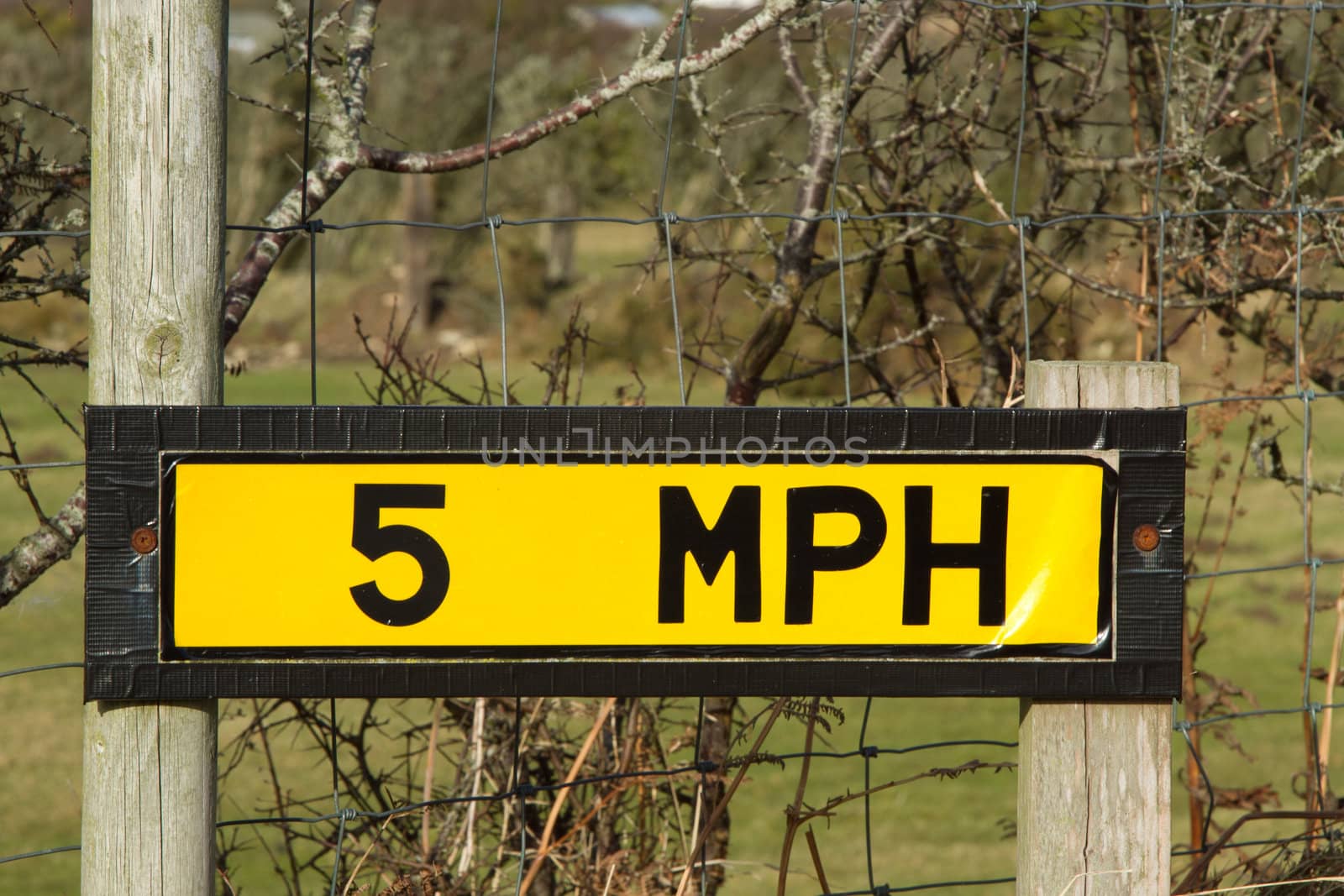 Yellow sign showing '5 MPH' attached to wooden posts with a fence.