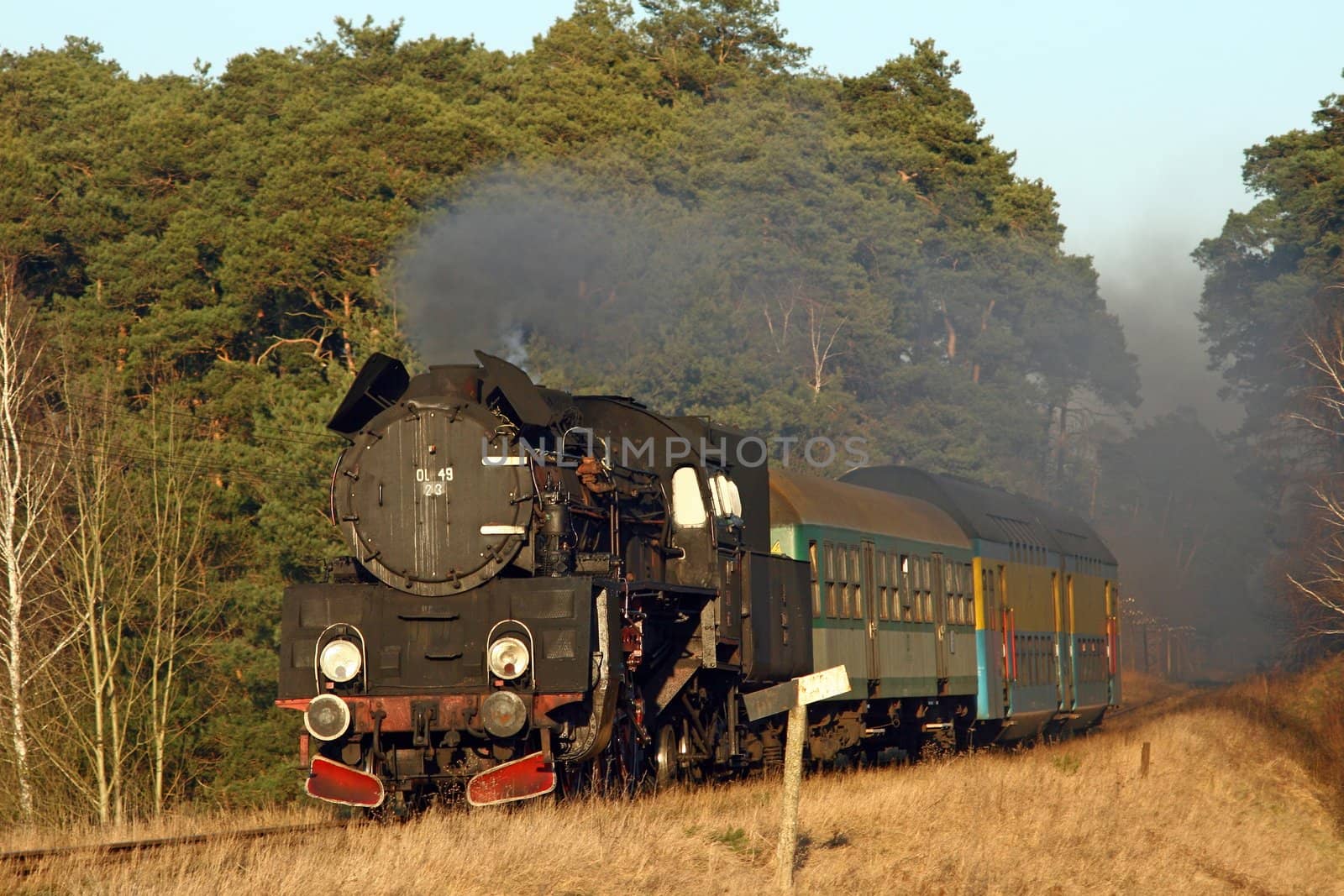 Steam passenger train exits the forest