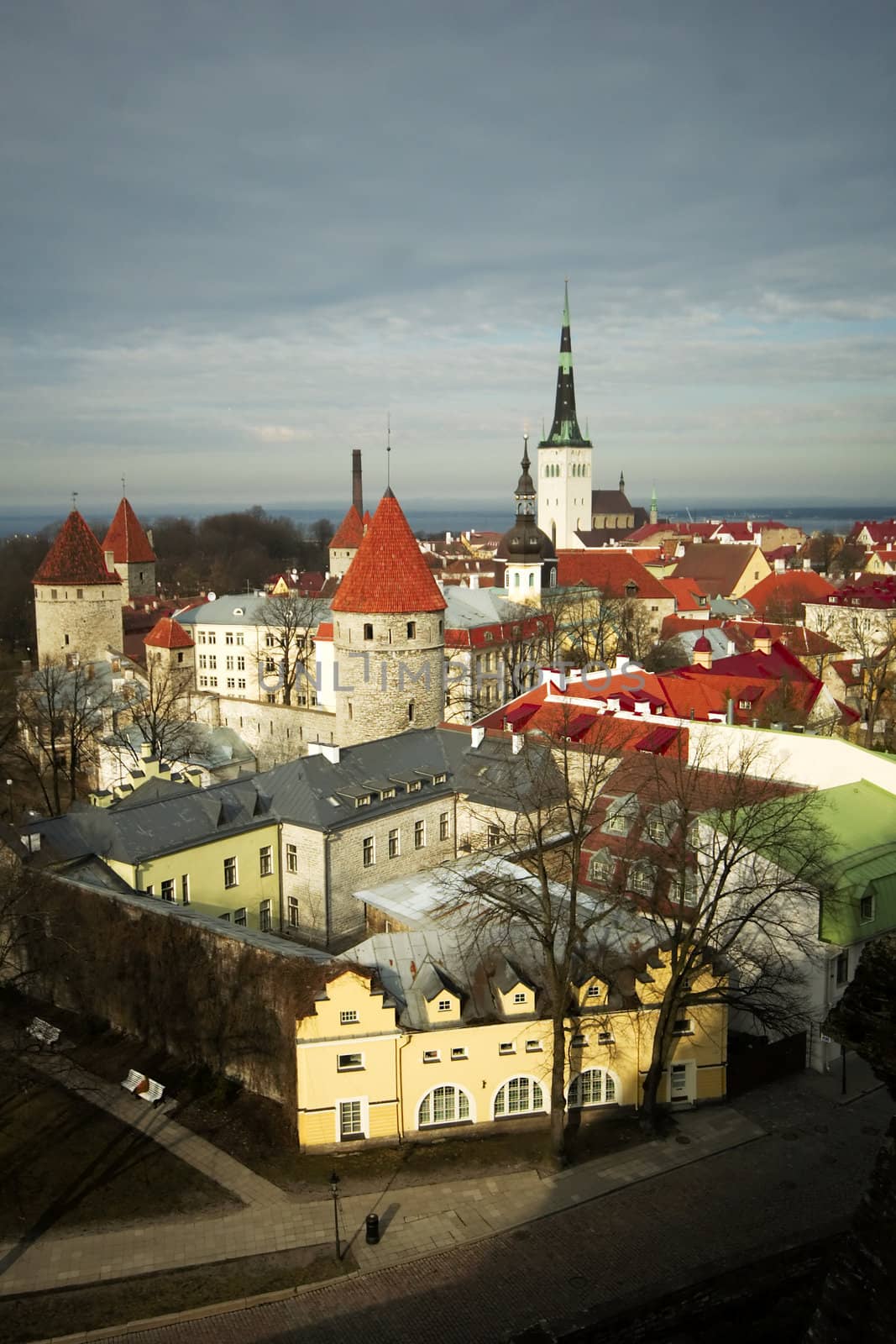 Olaviste tower at Tallinn by t3mujin