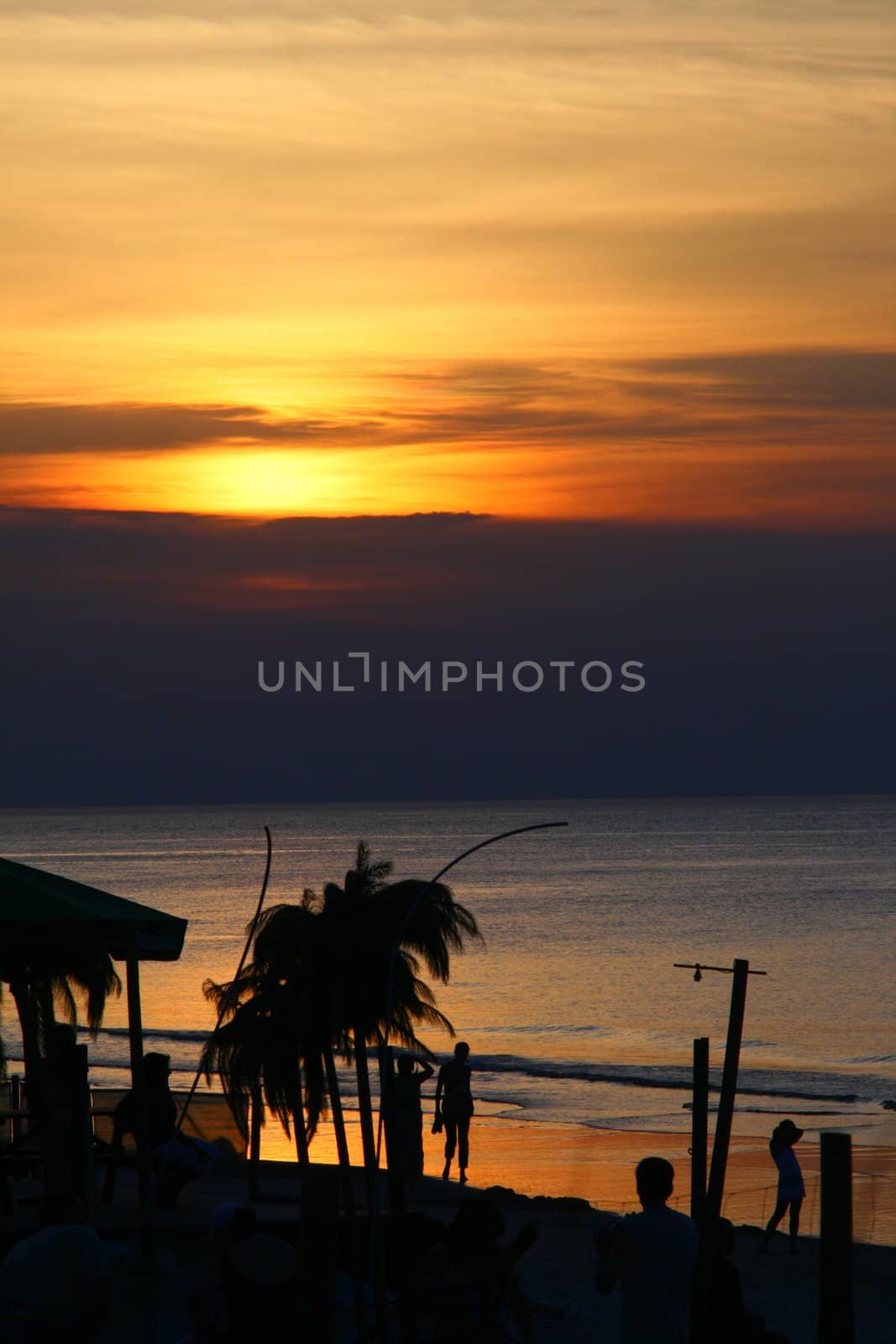 Golden sunset at the palm beach with palms and people