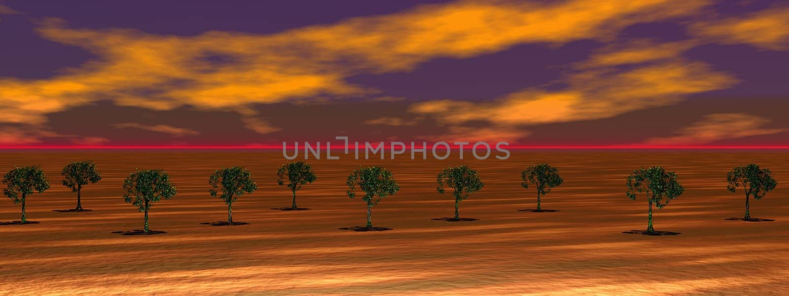 landscape trees and sky orange