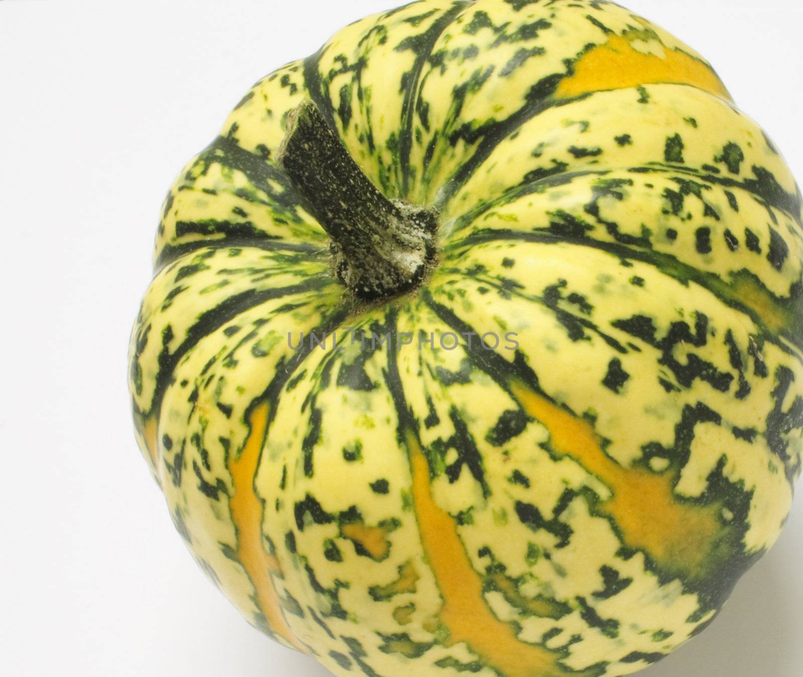 green and yellow ornamental squash isolated over alight background
