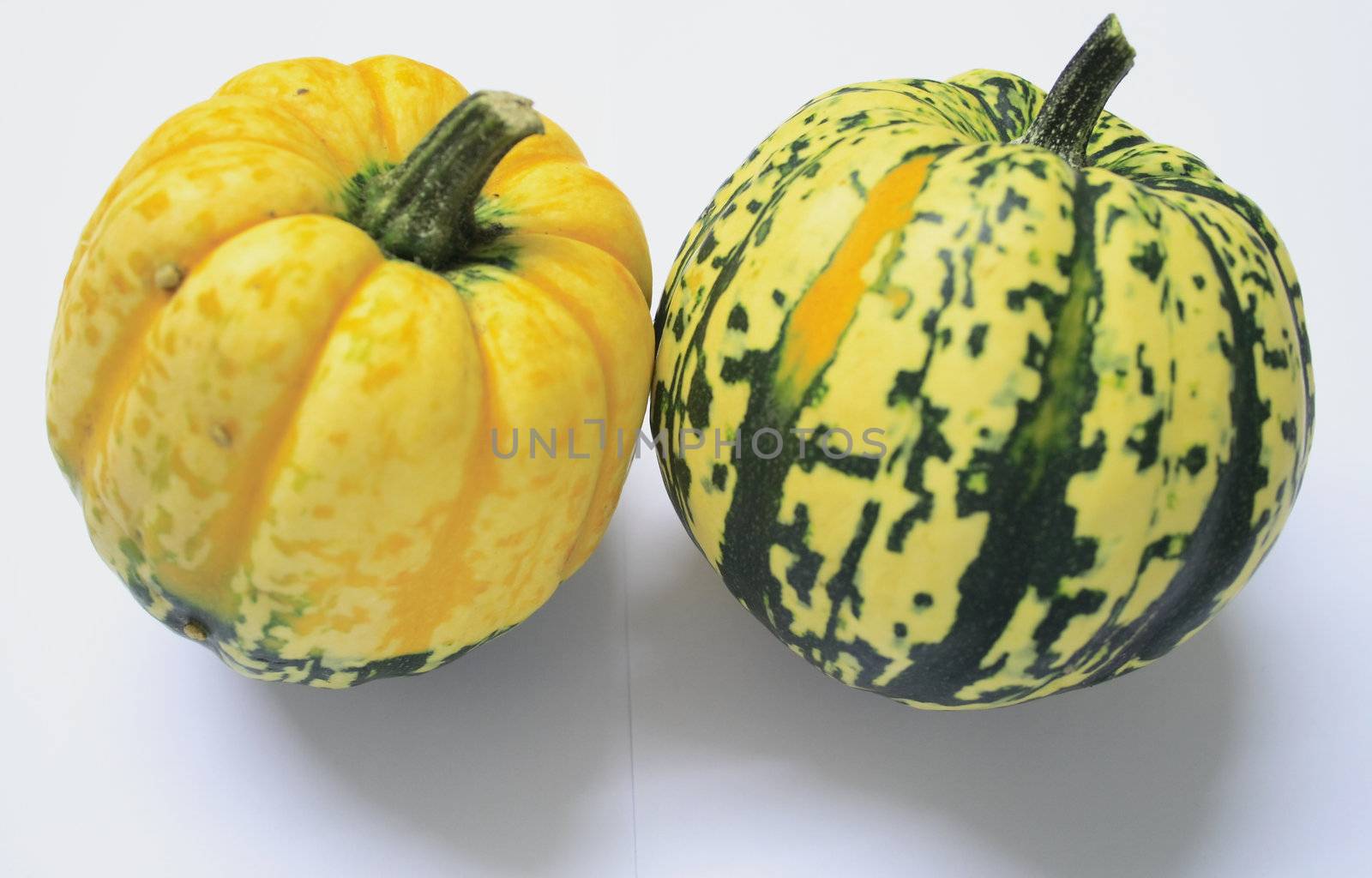 green and yellow ornamental squashes by leafy