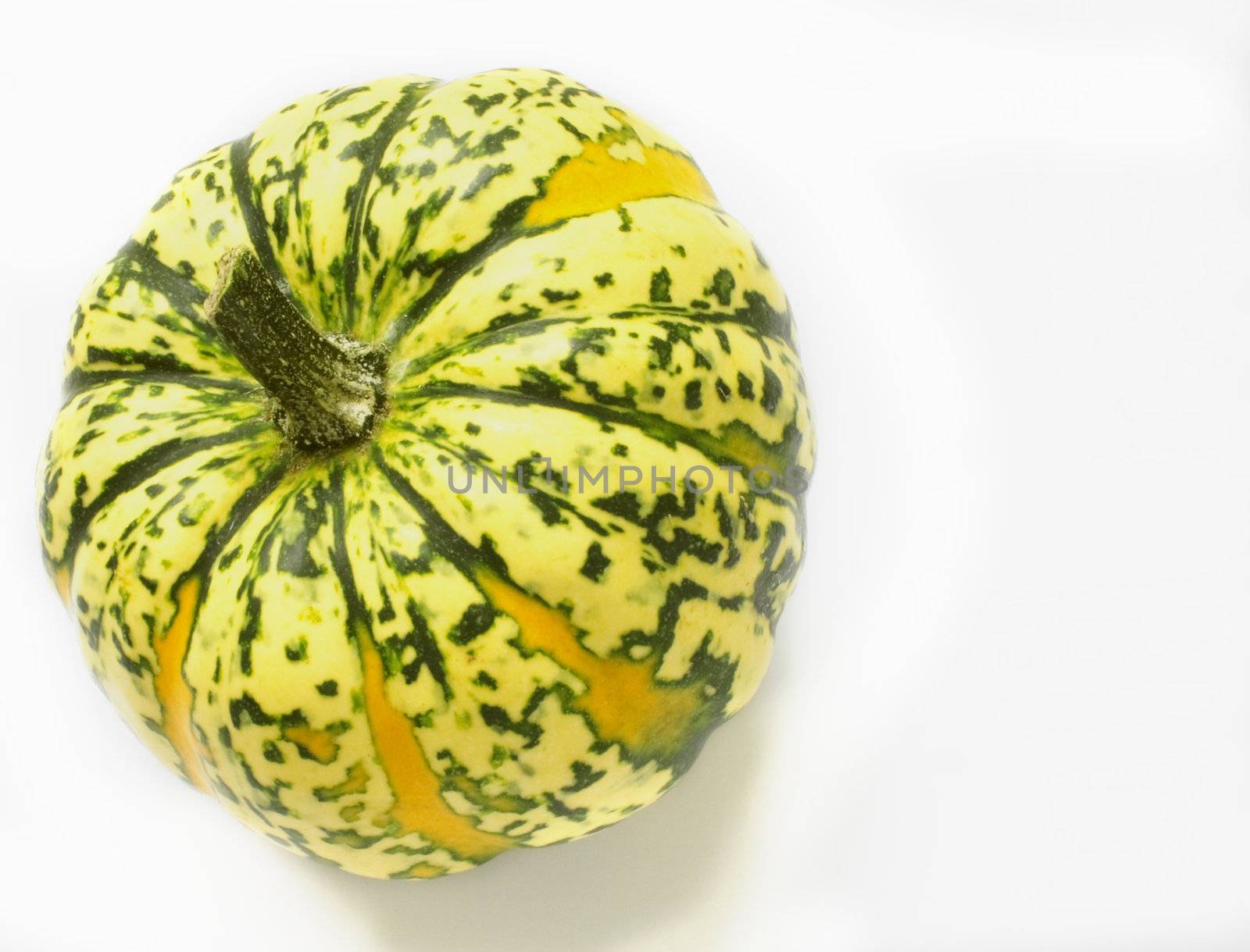 green and yellow ornamental squash by leafy