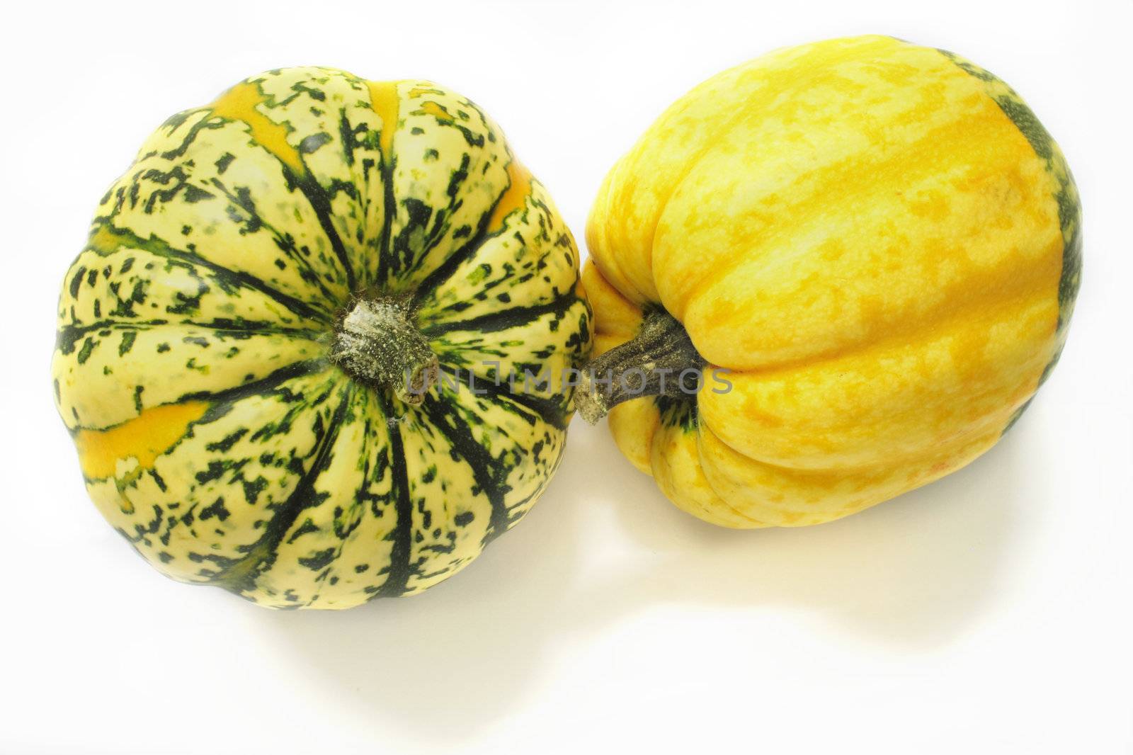 green and yellow ornamental squashes by leafy