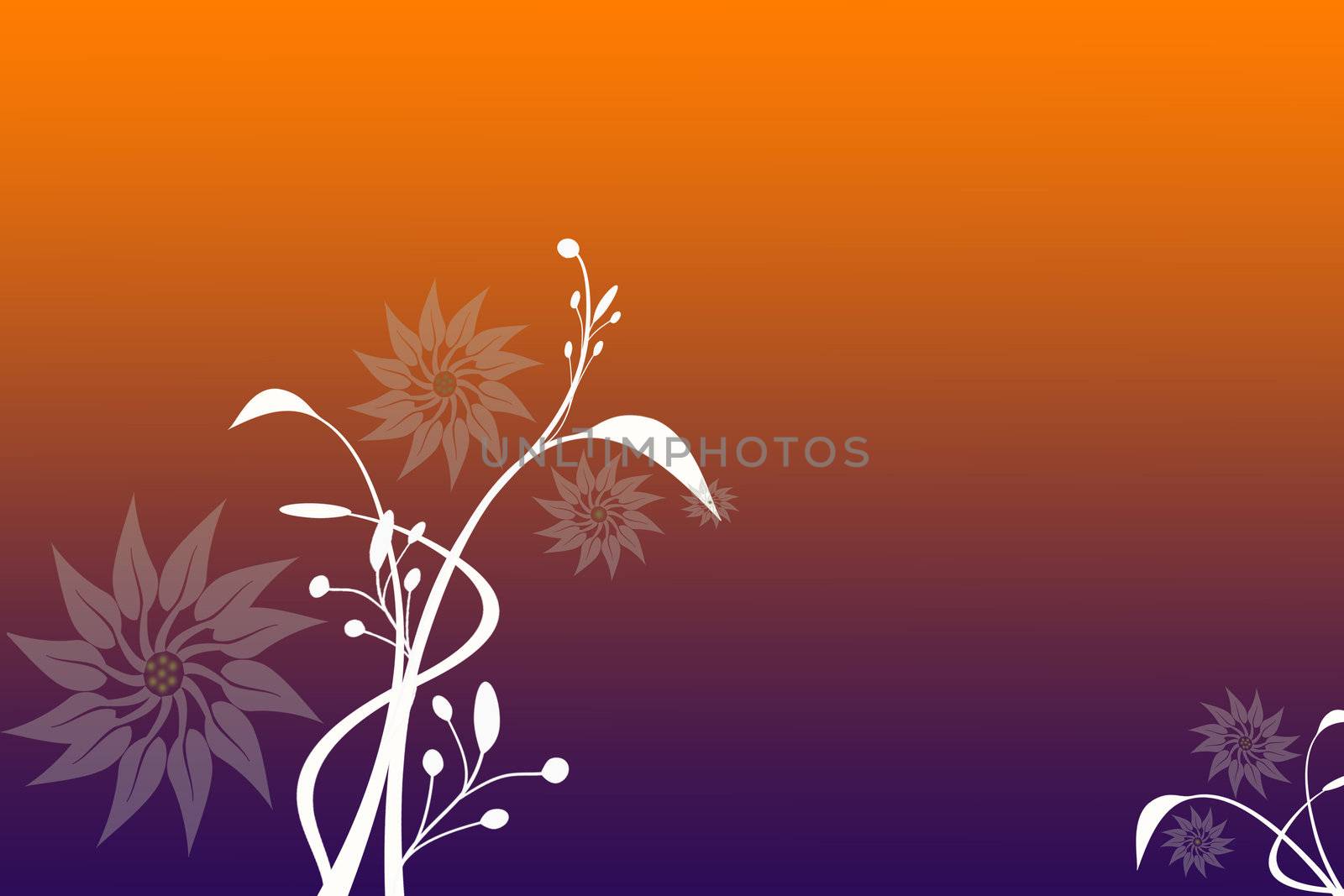 Beautiful abstract floral background 
