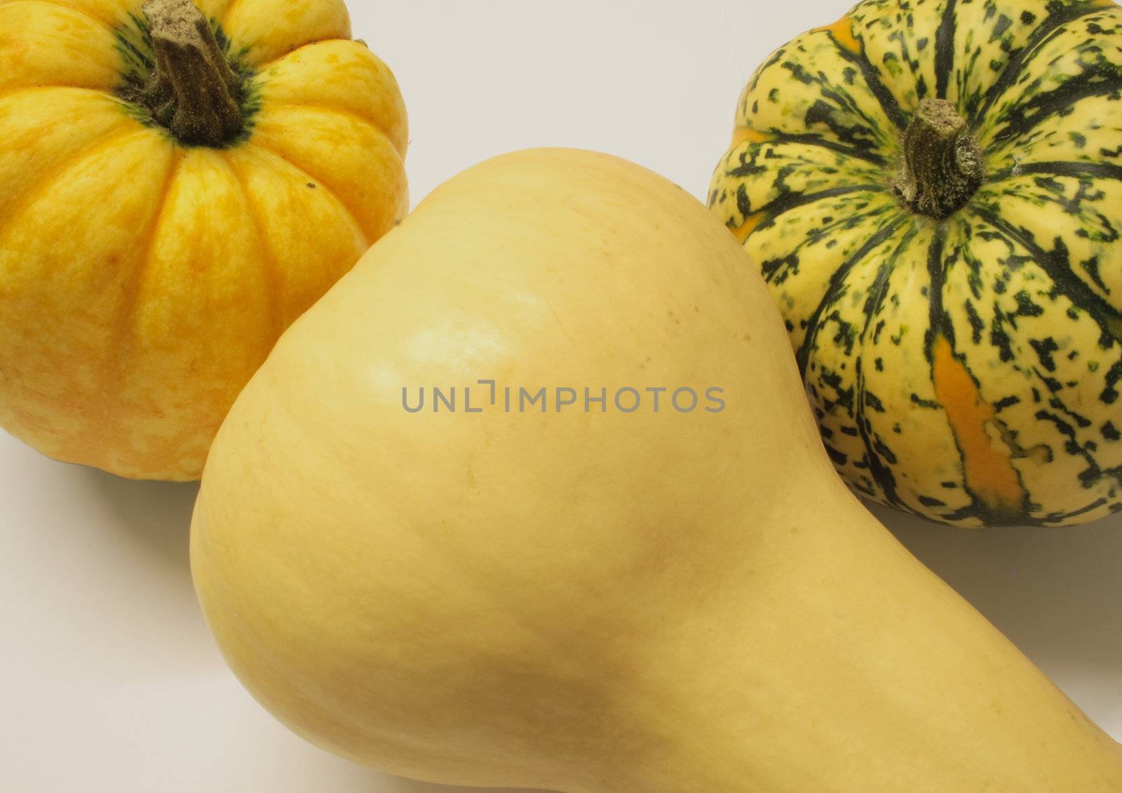closeup shot of squashes  against a light background