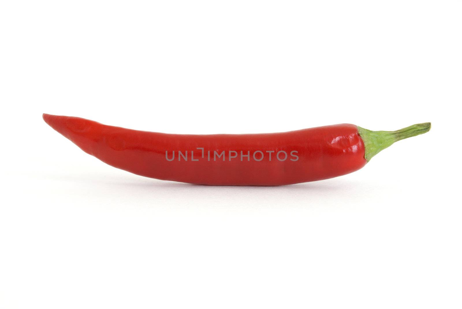 A fresh red chili pepper on white background.