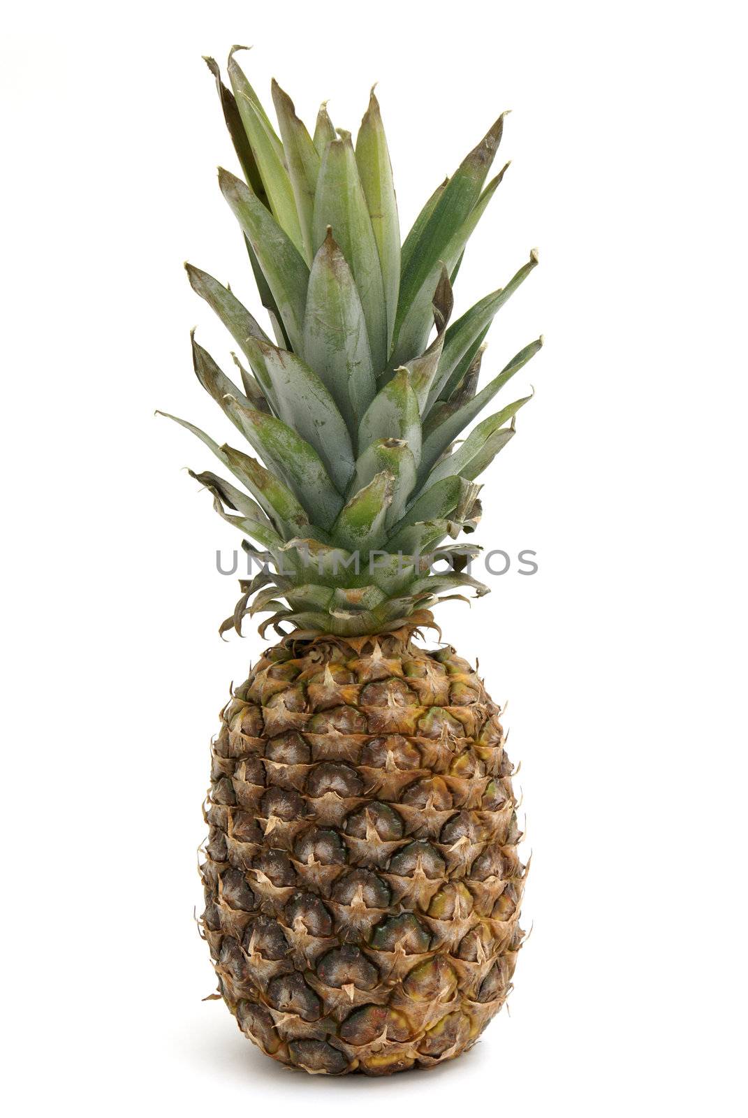 A fresh whole pineapple on white background.