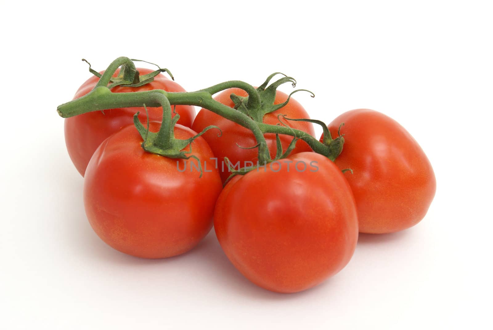 A vine full of fresh red tomatoes.