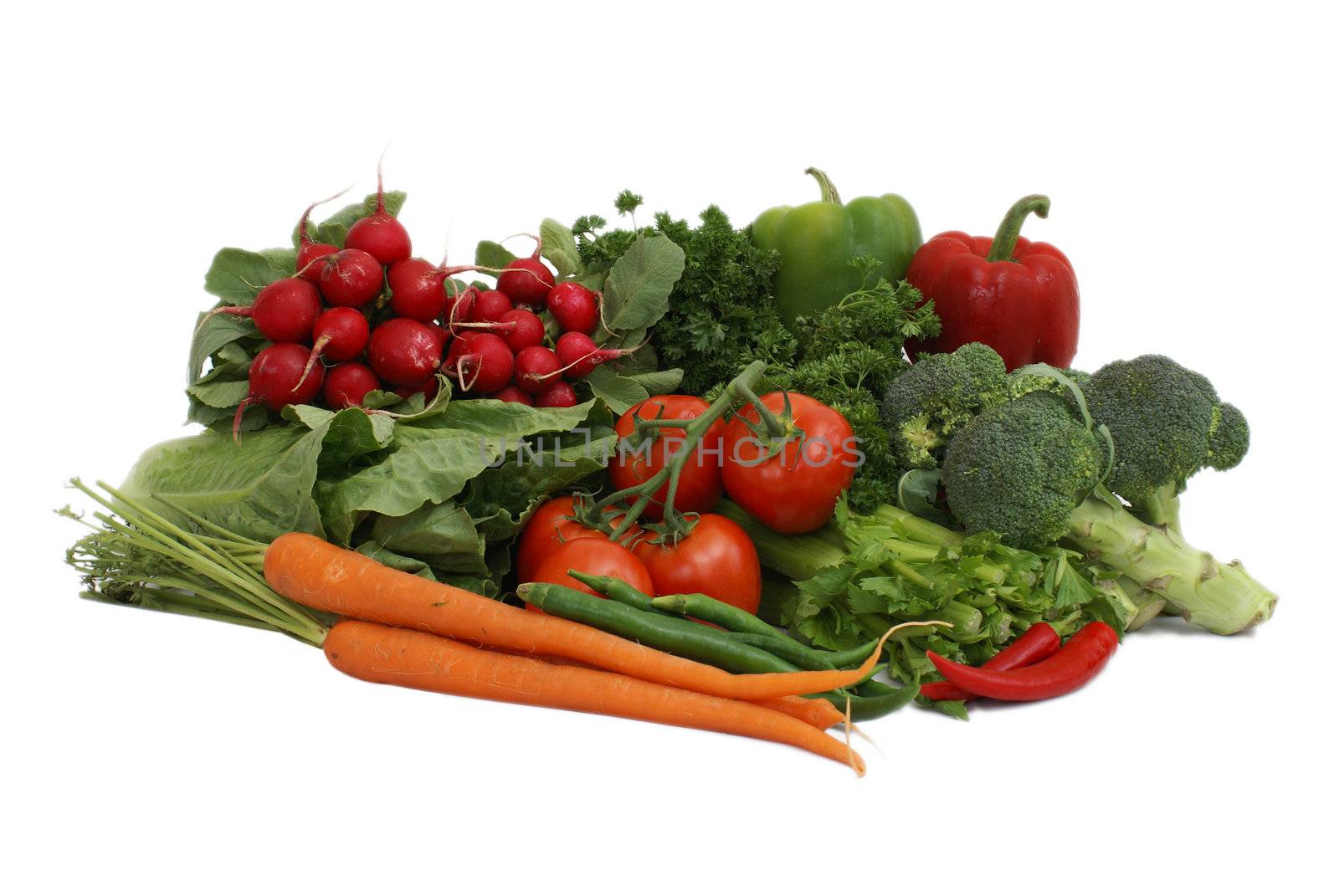 An arrangement of various vegetables on white background.