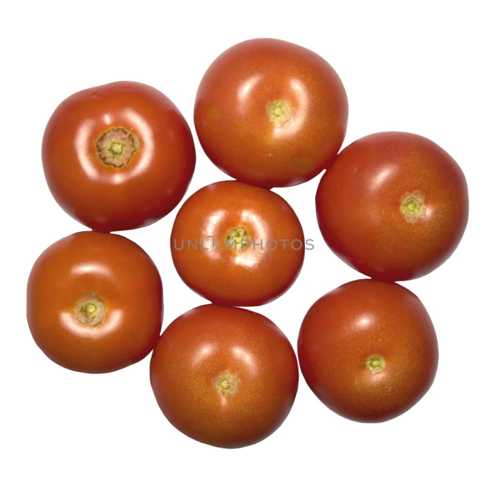 Red and fresh tomatoes undivided in a chain, seven features