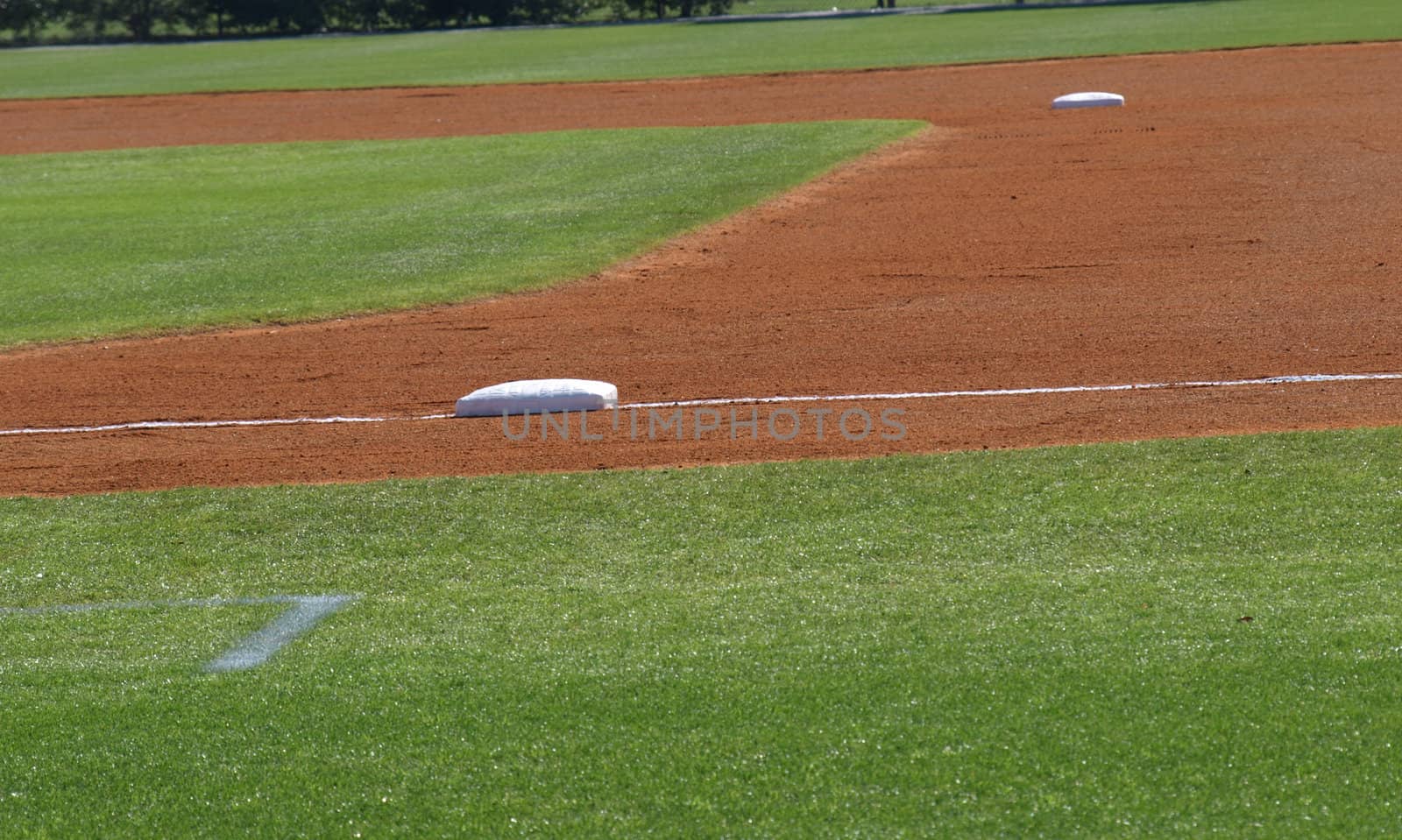 Infield by northwoodsphoto