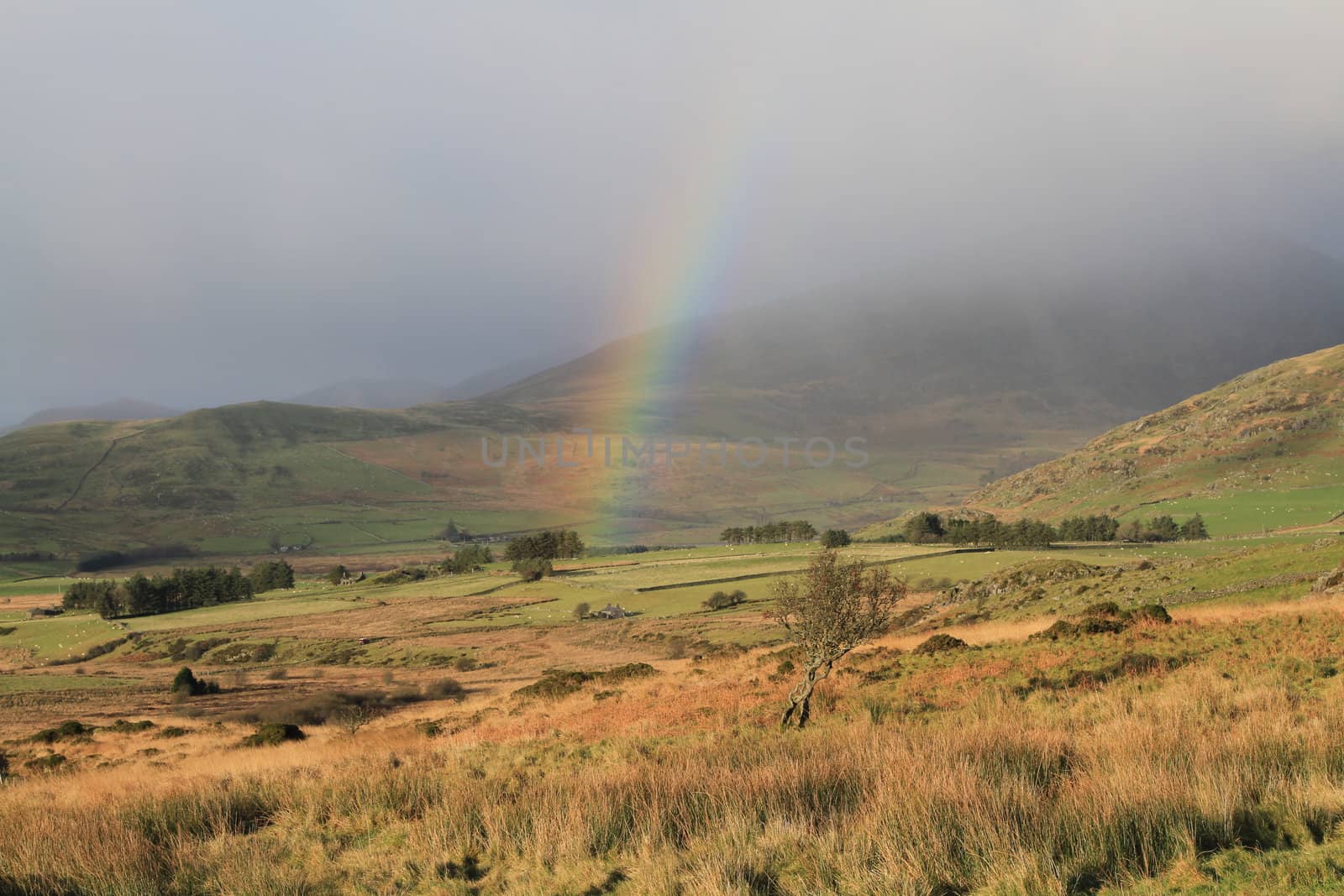 A rainbow forms under a rain cloud in rural fields and trees surrounded by hills.