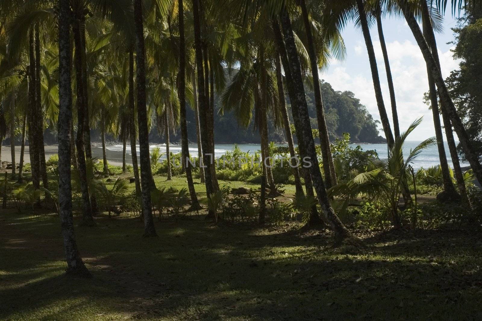 Costa Rica. Playa Ventanas.  by vanessadevolder