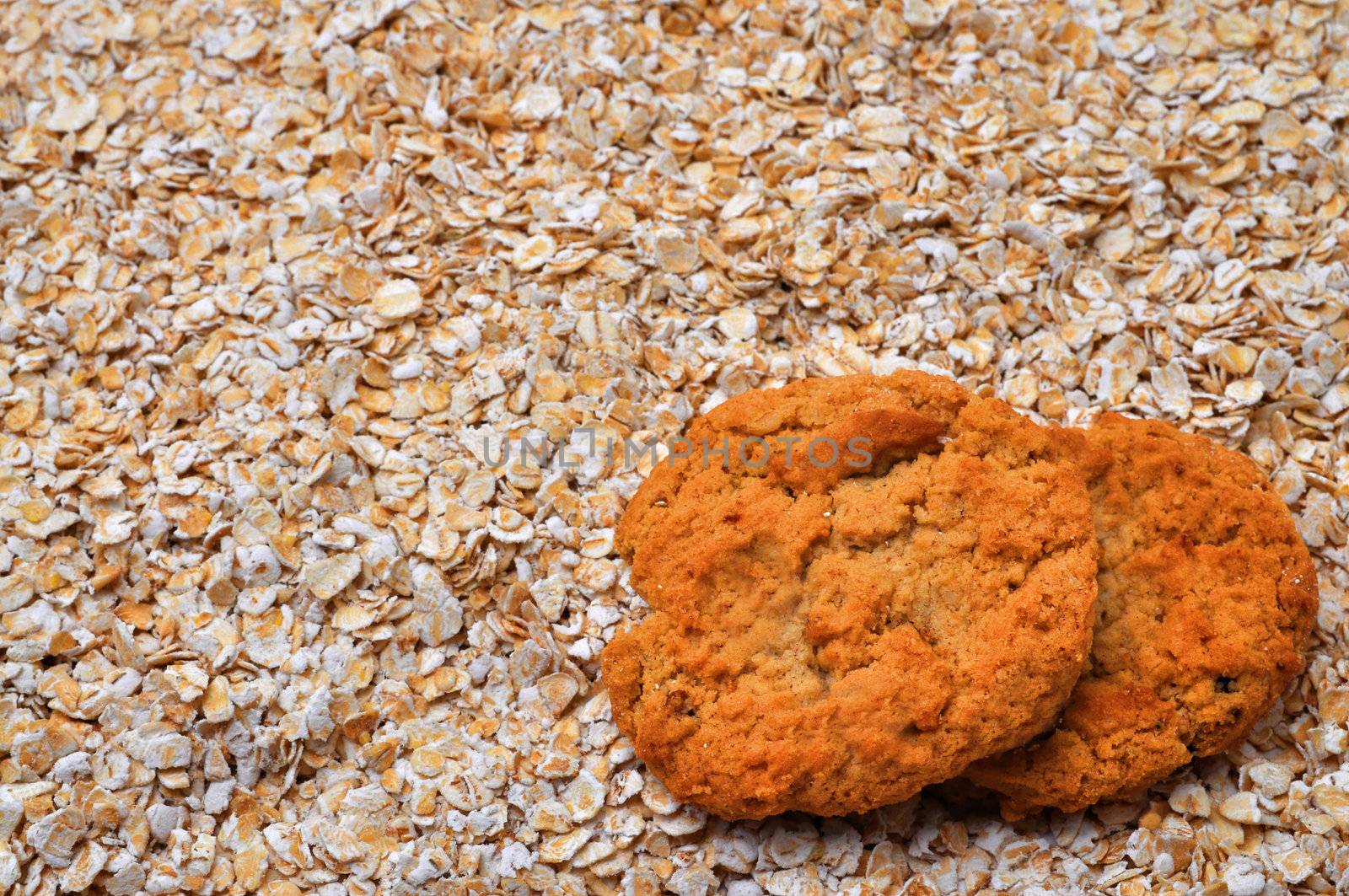 Two oatmeal cookies on bed of oatmeal with copy space.