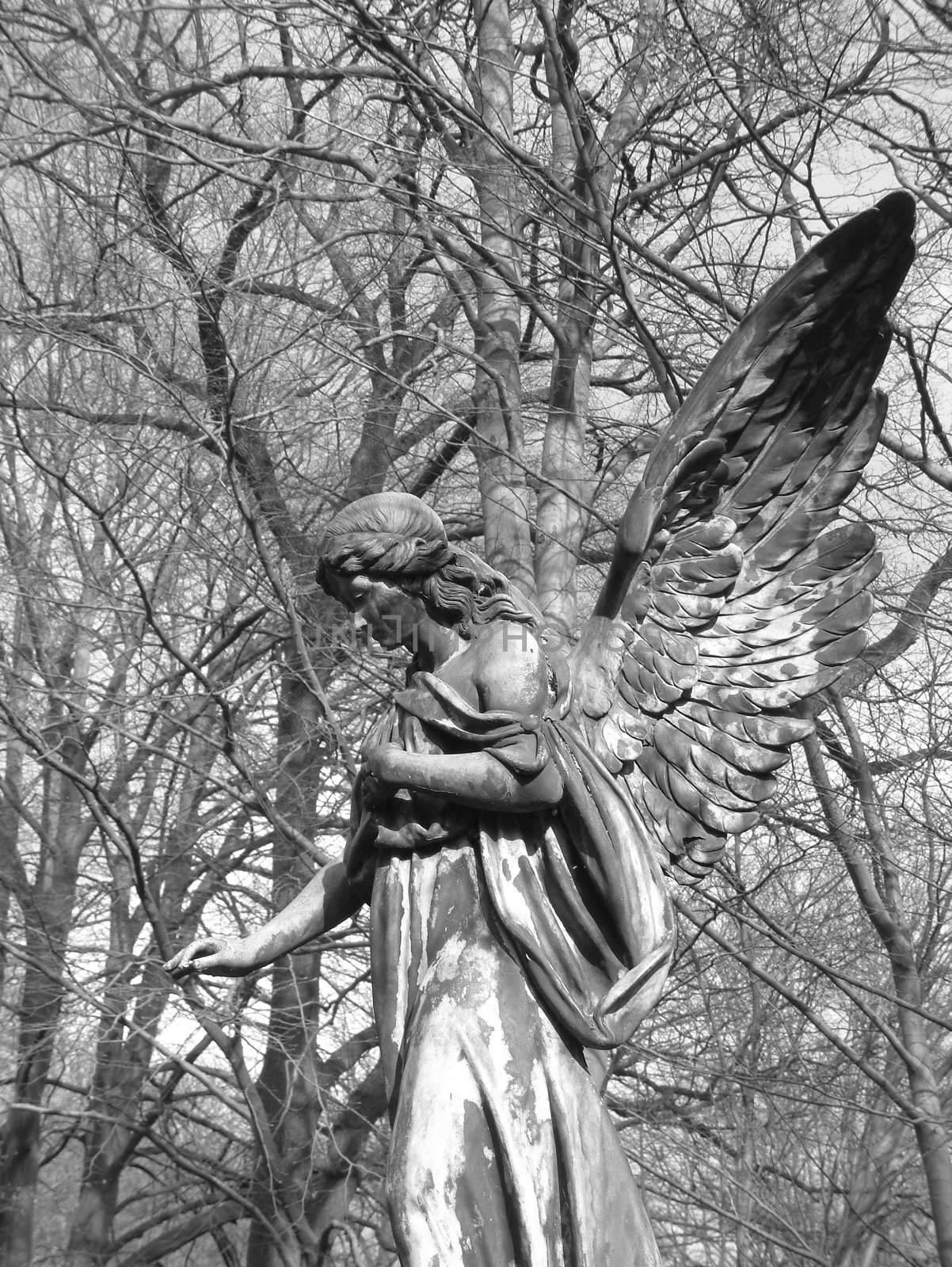 Death Angel by FotoFrank