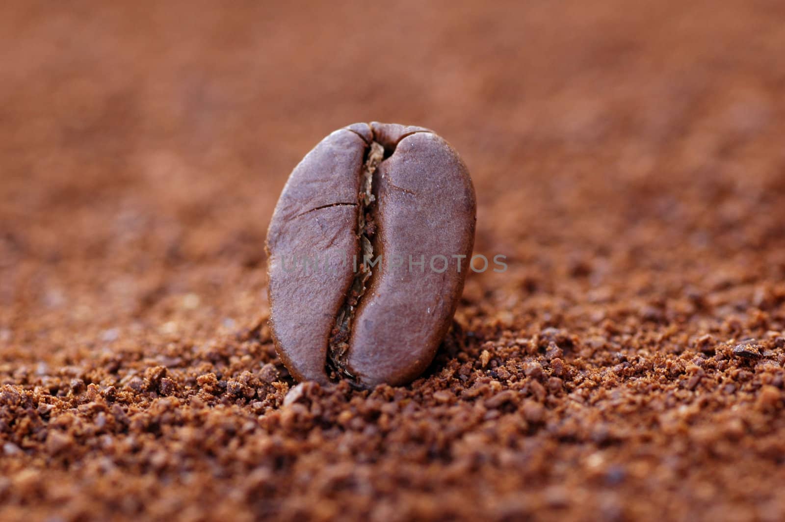 One Coffee bean in the centre