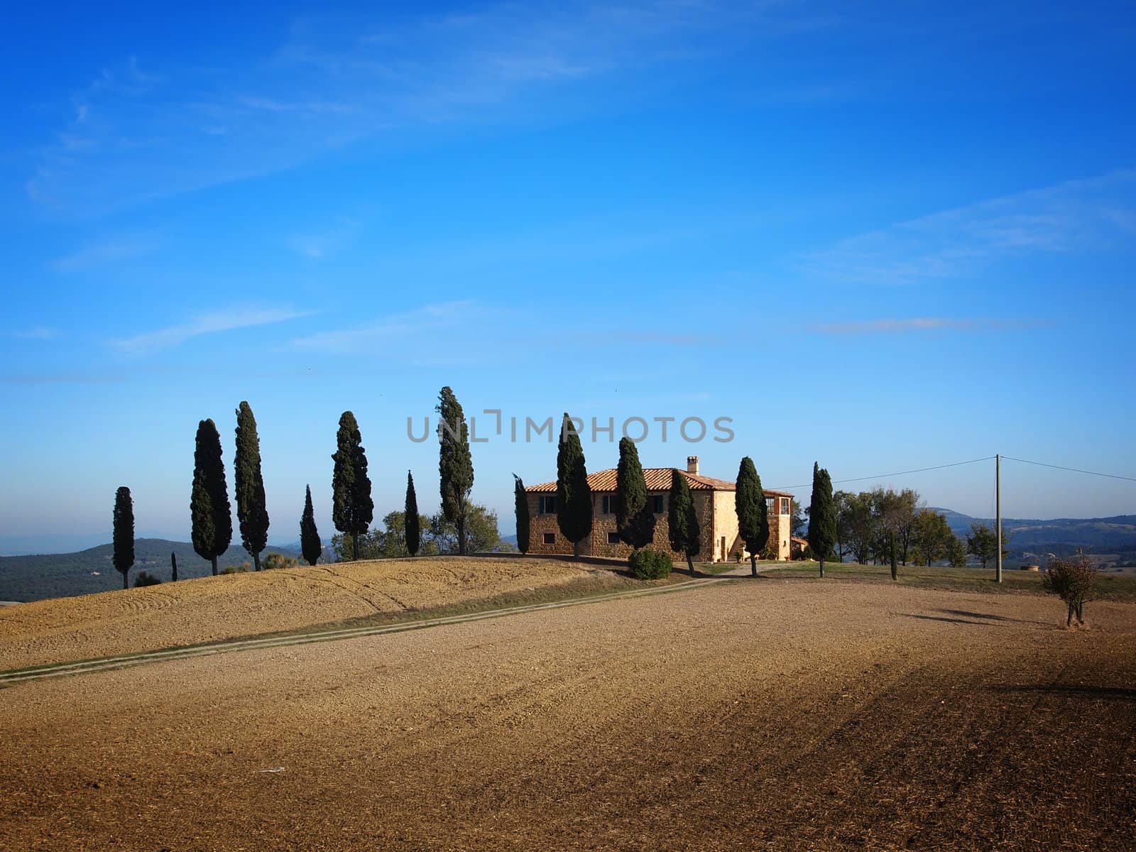 Typical farmhouse with cypress trees near Pienza in the Val d�Orcia in Tuscany, Italy.
