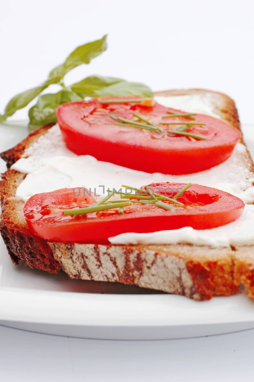 Cheese Spread on bread on white background