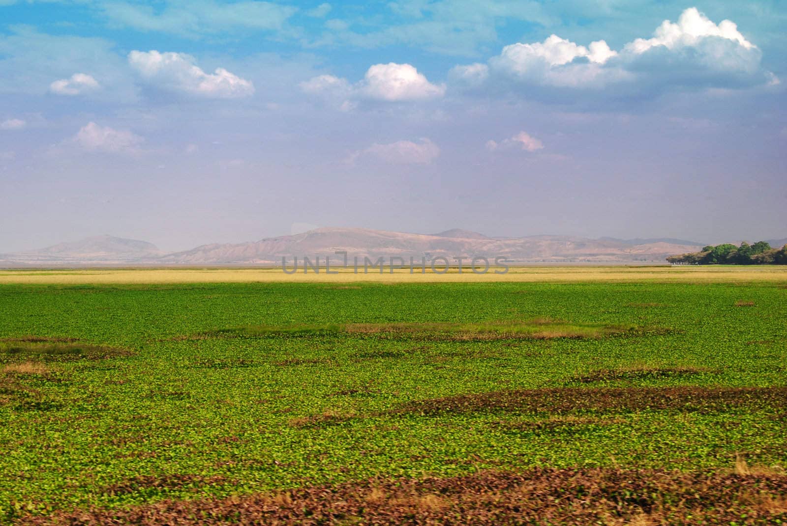 ethiopian landscape
