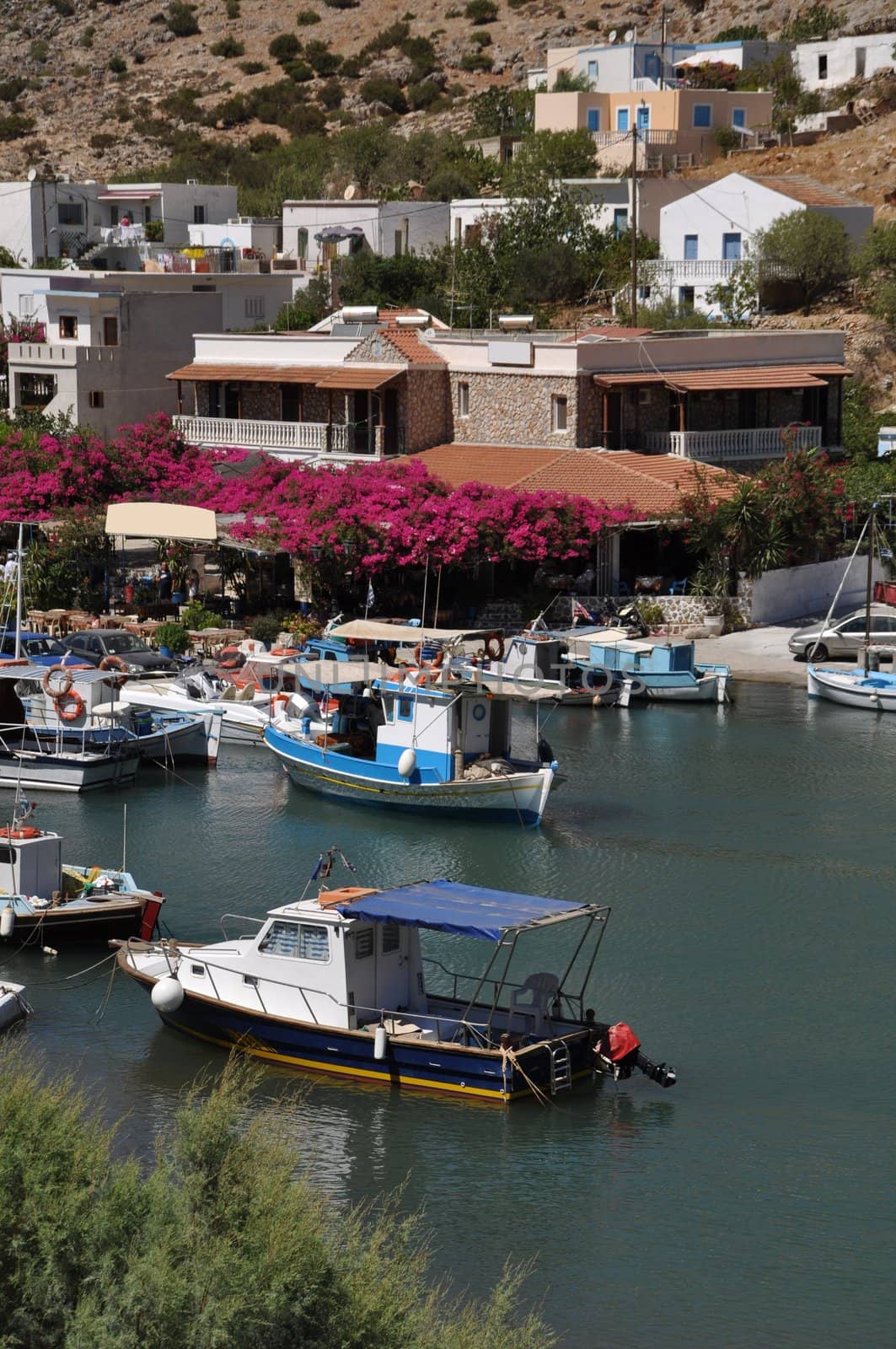 beautiful greek island in Kalymnos, Greece (port, houses and flowers)