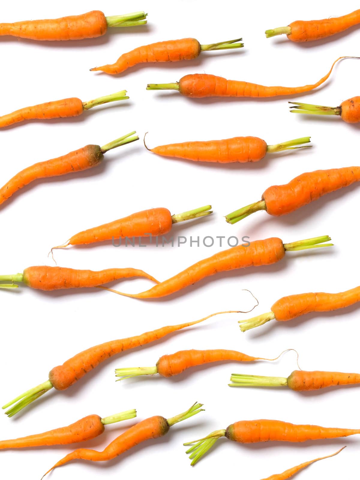 baby carrots by zkruger