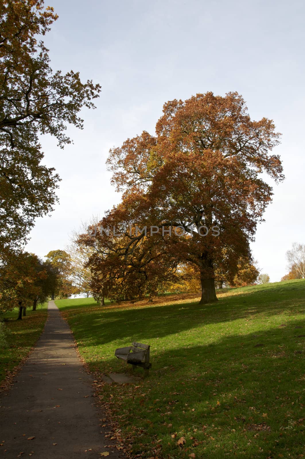 Autumn park by mbtaichi