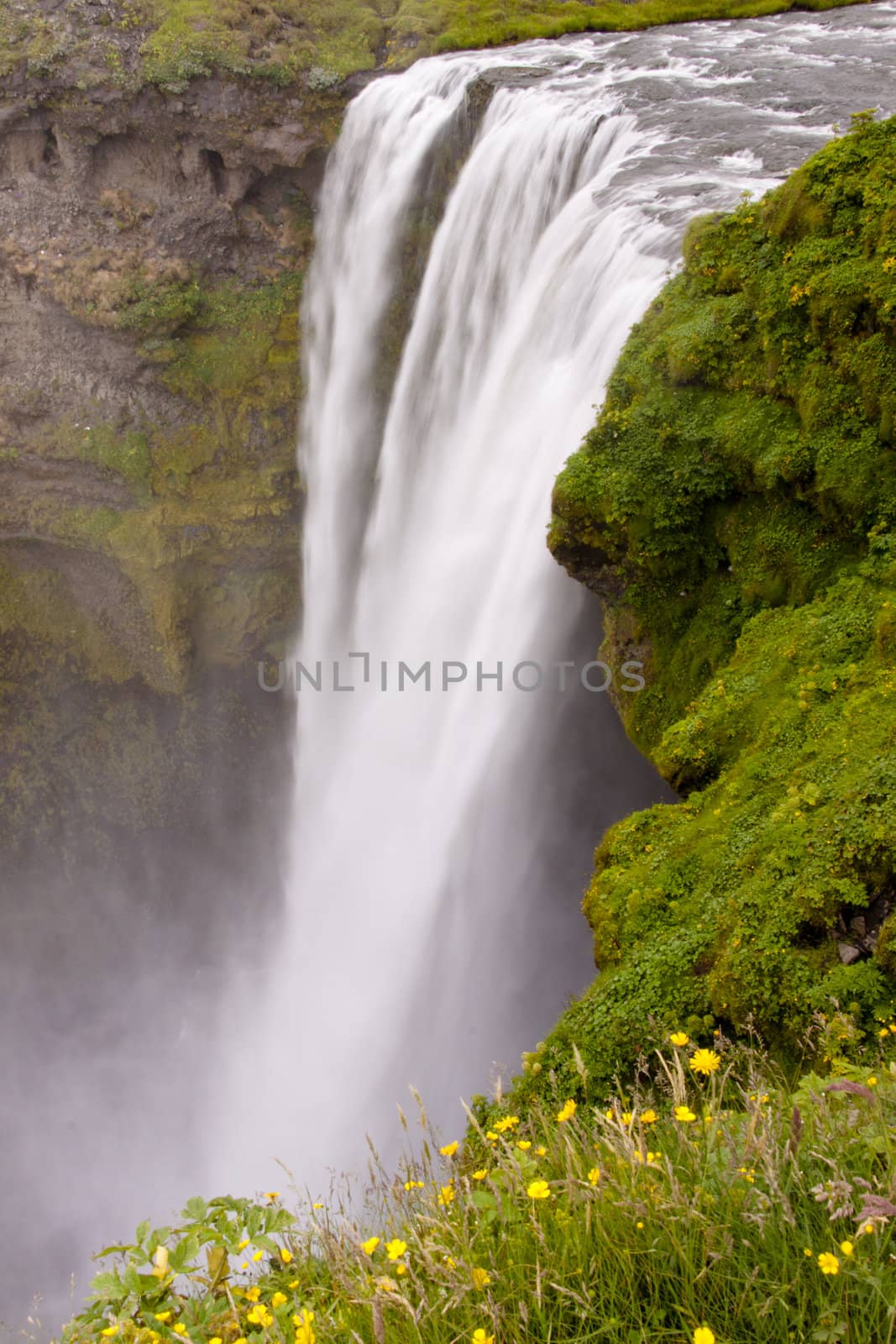 Waterfall Skogafoss in south of Iceland. Summer day.