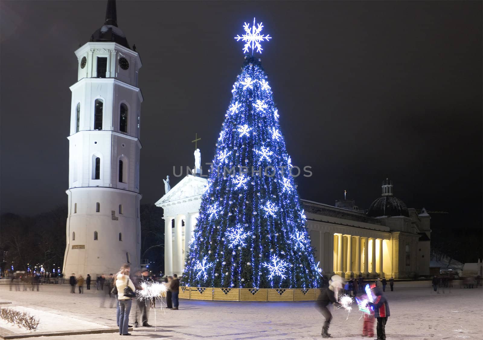 City Christmas Tree, Vilnius, Lithuania