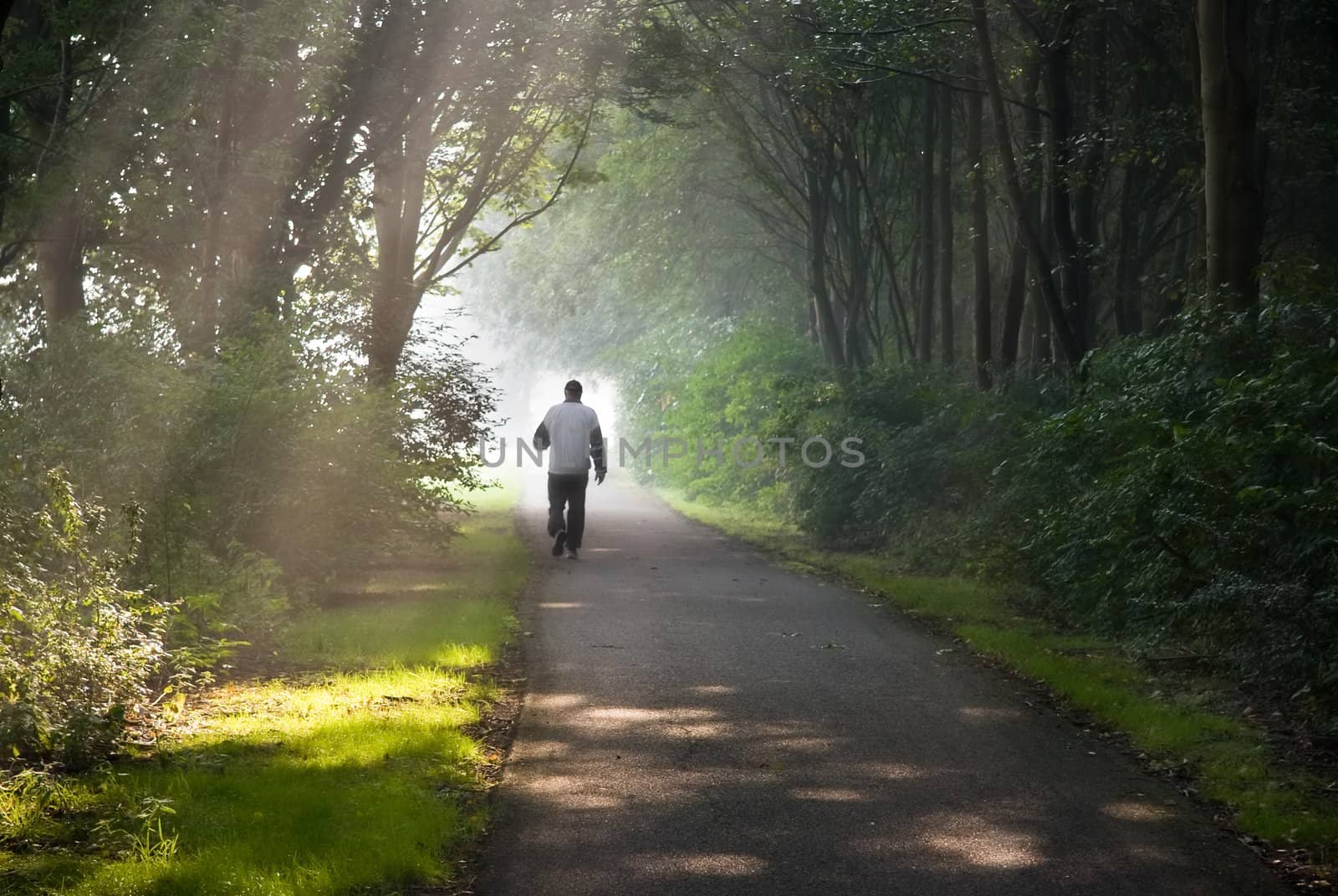 Middle aged man jogging on early summer morning in park - horizontal image