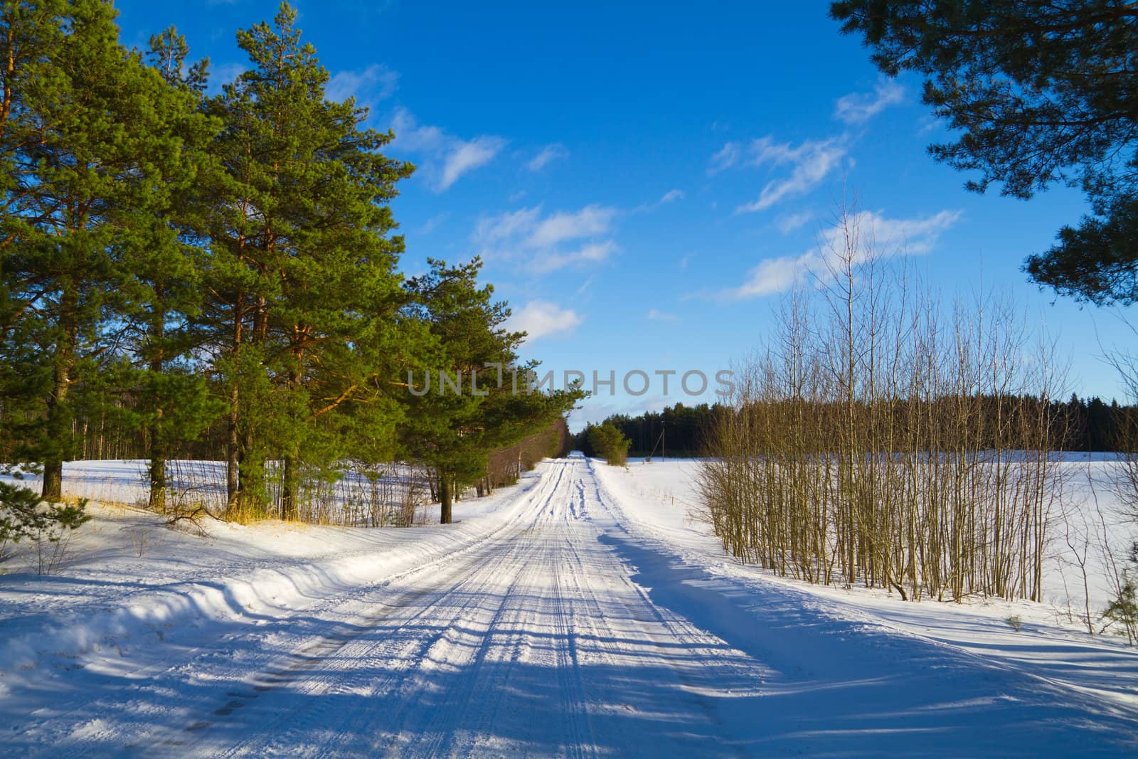 winter landscape