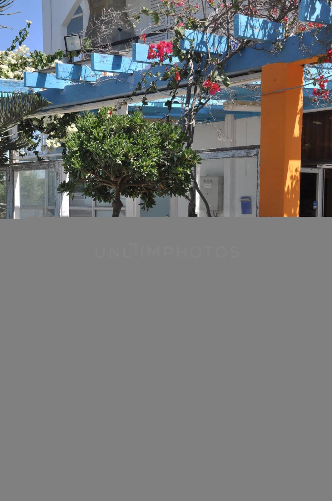 typical greek scene with flowers and pottery outside a local restaurant