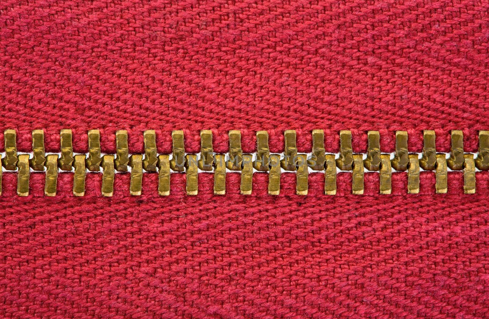 The red metal zipper on close up