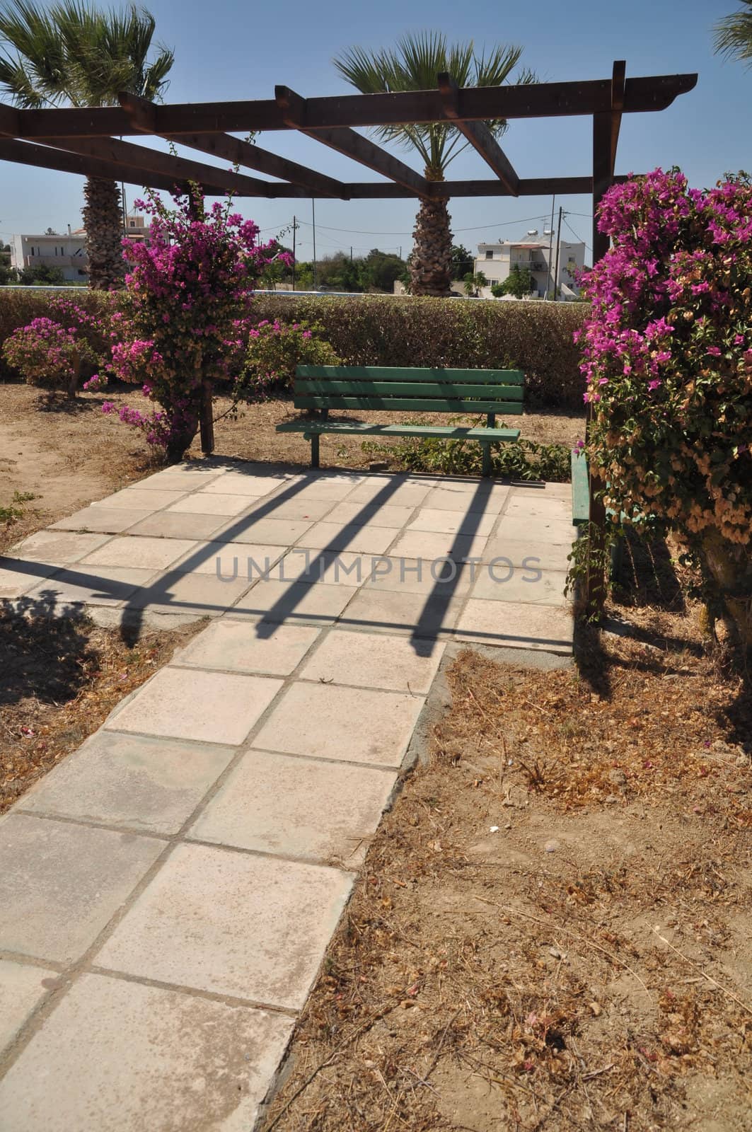 garden park with green bench and bougainvillea flowers in Greece