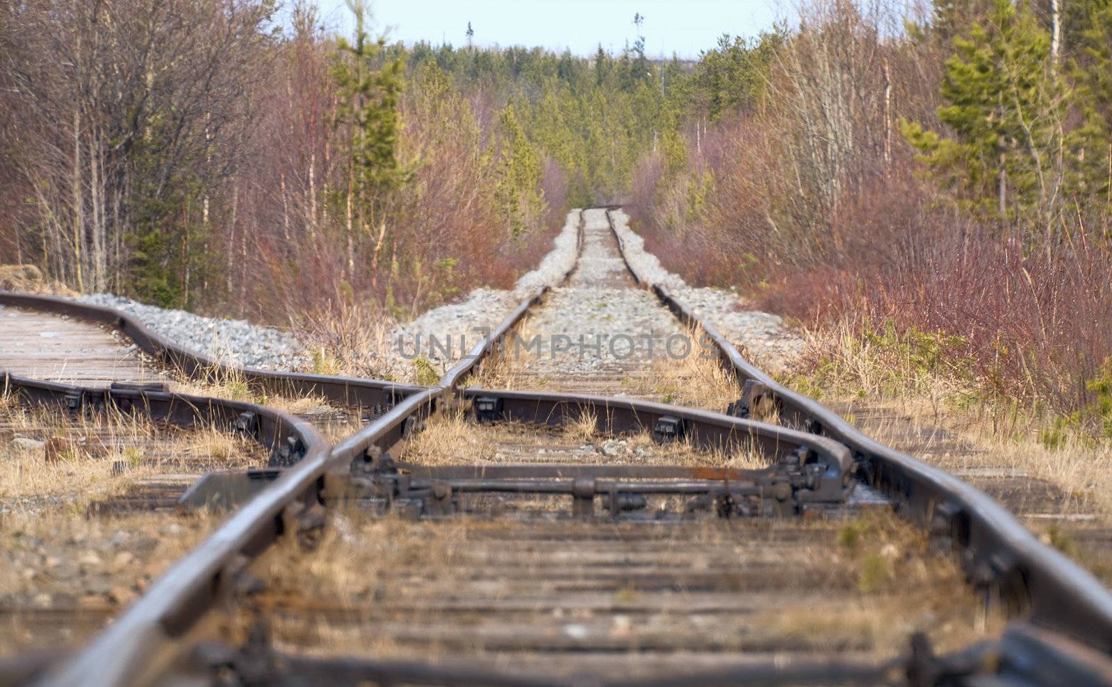 Old rural rusty tracks leaving afar to horizon