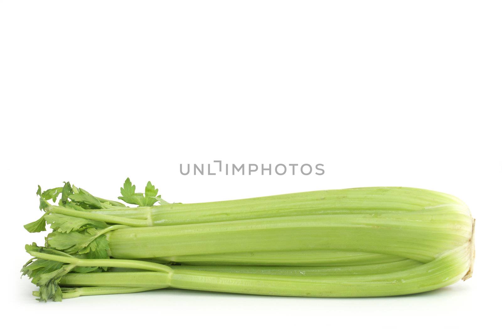 A stock of ripe celery on white background.