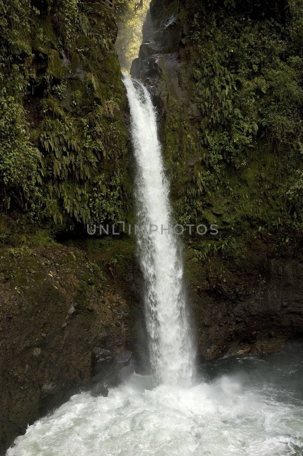 Waterfall La Paz in Costa Rica by vanessadevolder